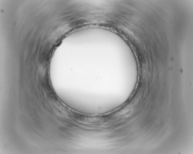 X0000088151257200705291414