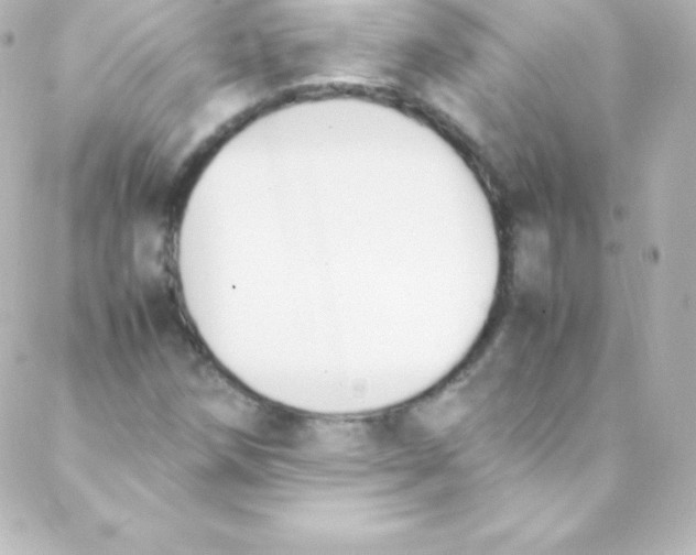 X0000088151258200705291414