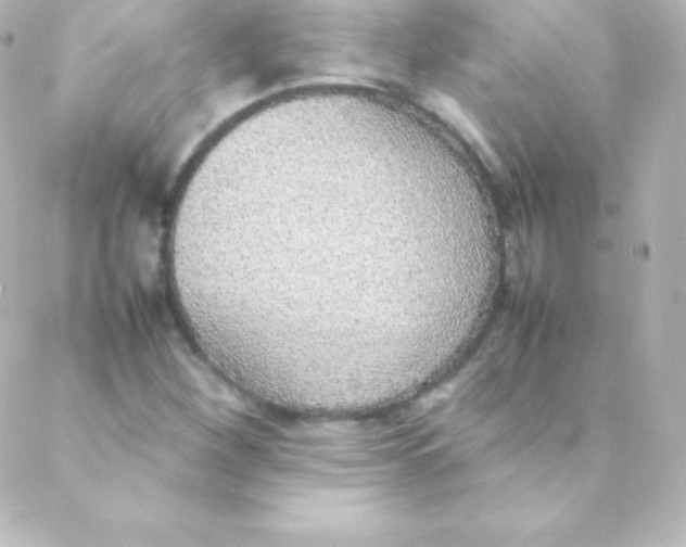 X0000088151260200705291414