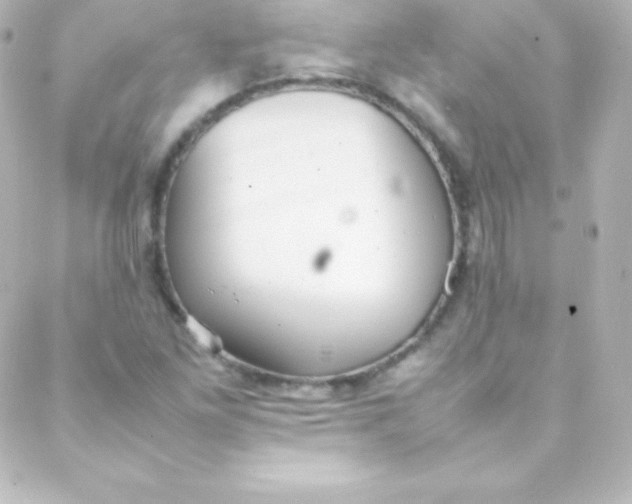 X0000088151261200705291414