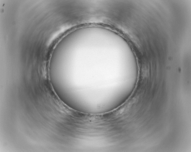 X0000088151262200705291414