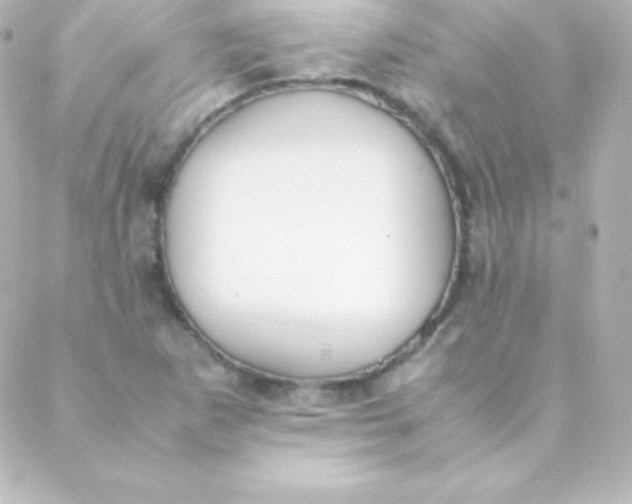 X0000088151265200705291414