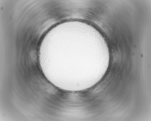 X0000088151266200705291414