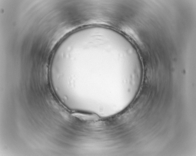 X0000088151268200705291414