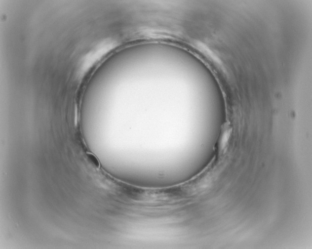 X0000088151269200705291414