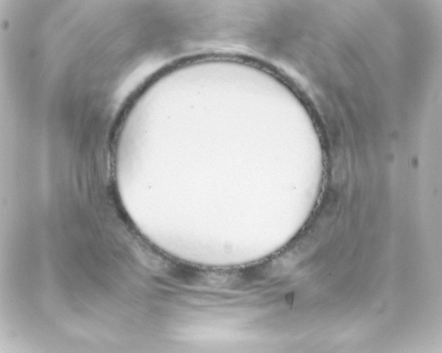 X0000088151271200705291414