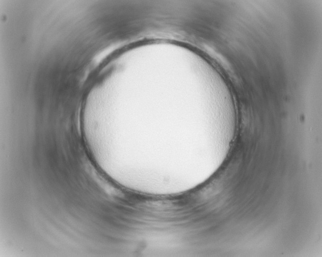 X0000088151272200705291414