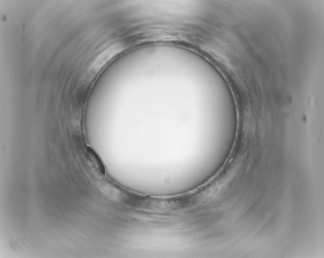 X0000088151273200705291414