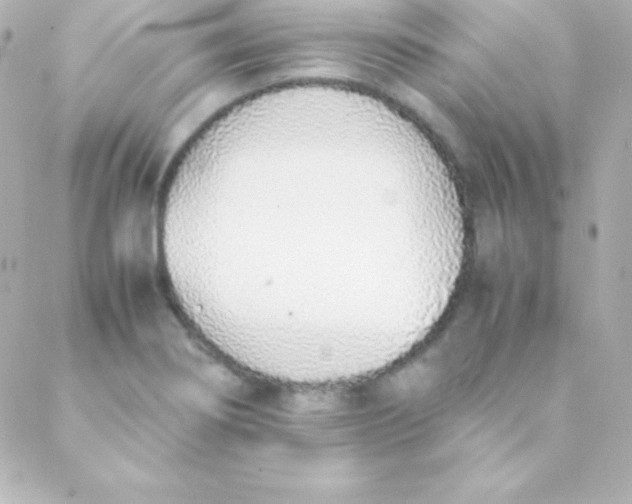 X0000088151274200705291414