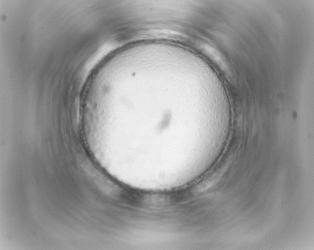 X0000088151275200705291413