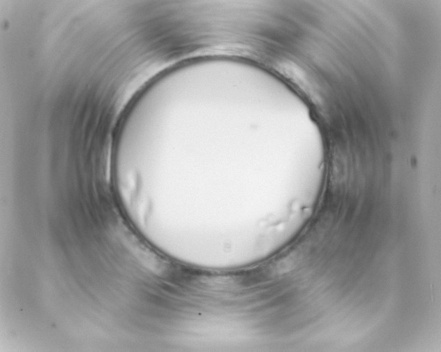 X0000088151276200705291413