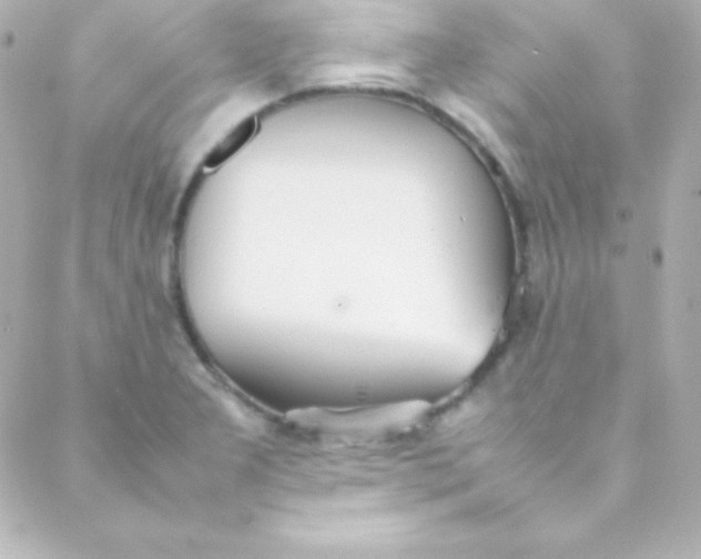 X0000088151277200705291413