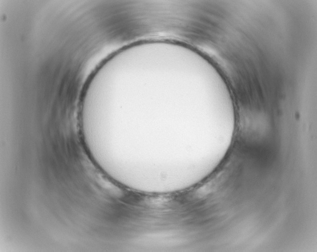 X0000088151278200705291413