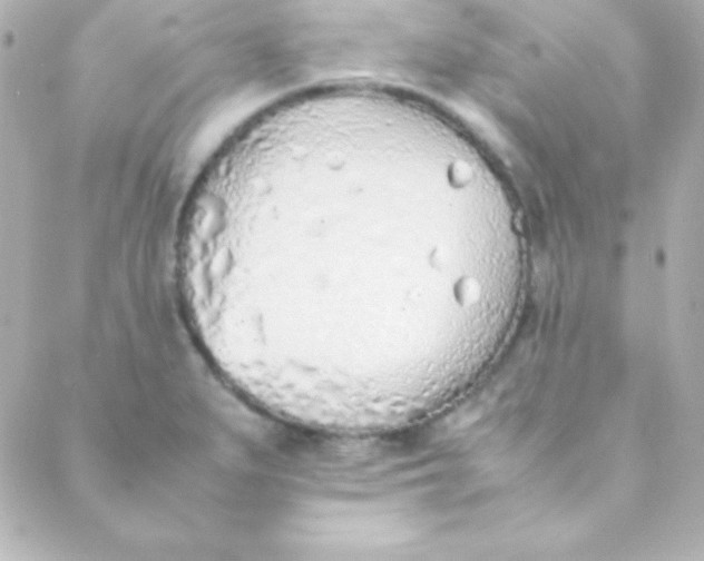 X0000088151279200705291413