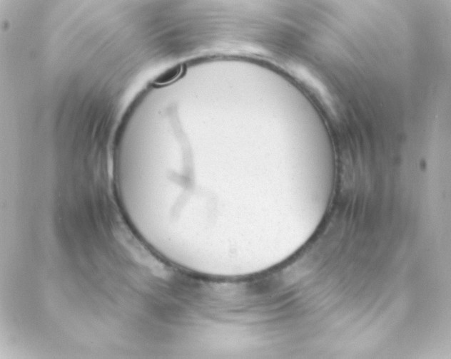 X0000088151280200705291413