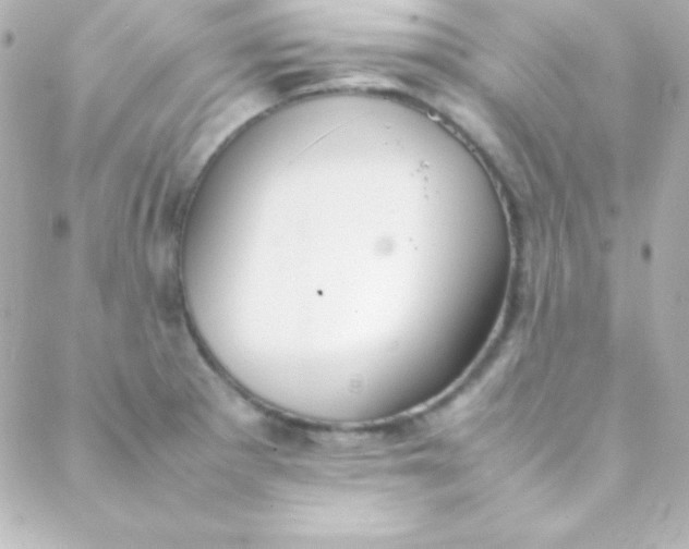 X0000088151281200705291413