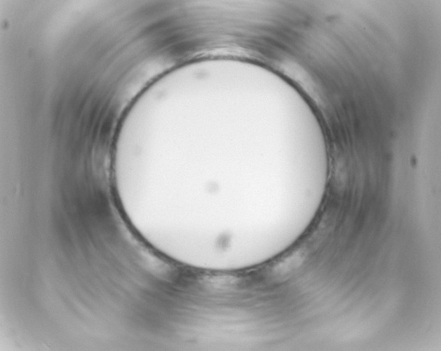 X0000088151282200705291413