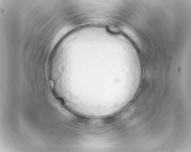 X0000088151283200705291413