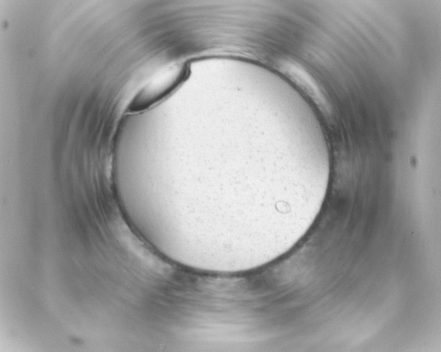 X0000088151284200705291413