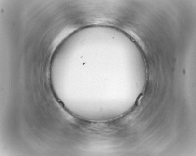 X0000088151285200705291413