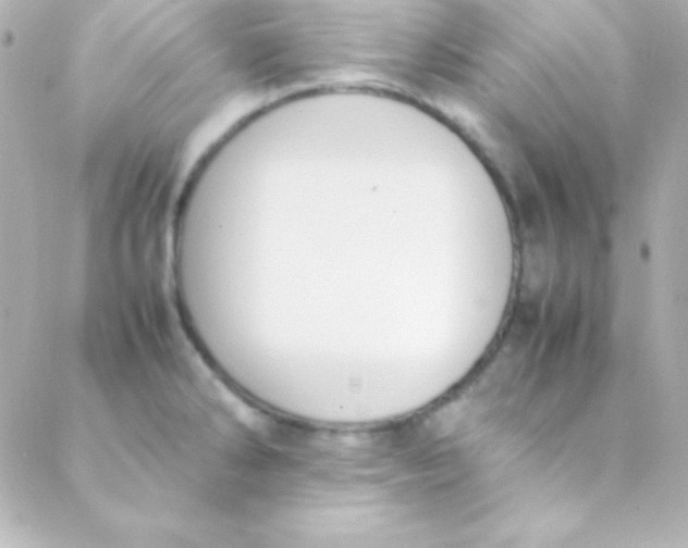 X0000088151286200705291413