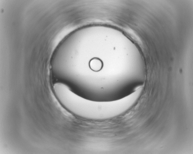 X0000088151287200705291413