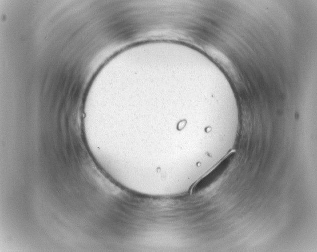 X0000088151288200705291413