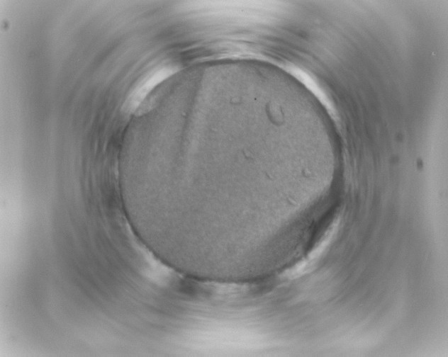 X0000088151289200705291413