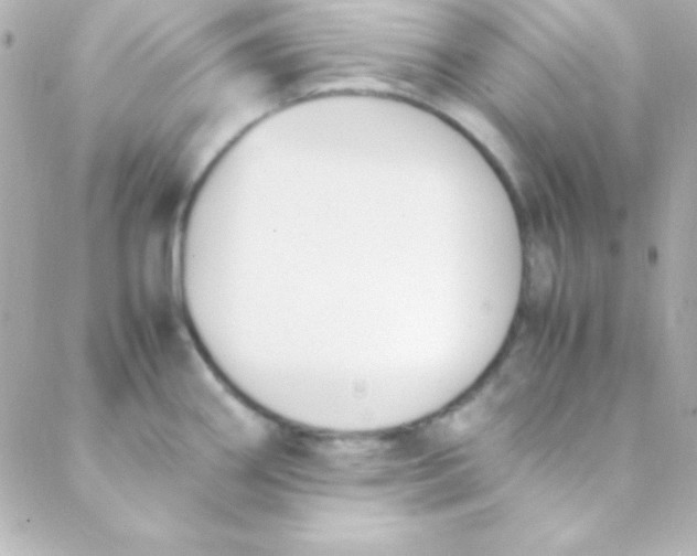 X0000088151290200705291413