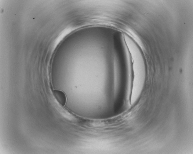 X0000088151291200705291413