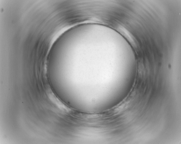 X0000088151292200705291413