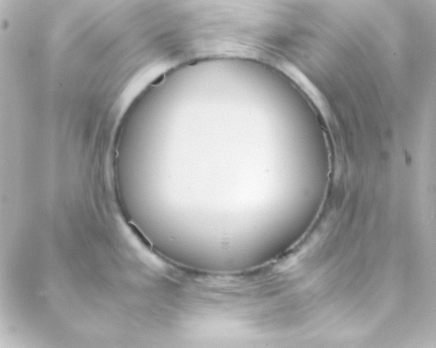 X0000088151293200705291413