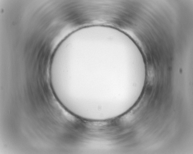 X0000088151294200705291413