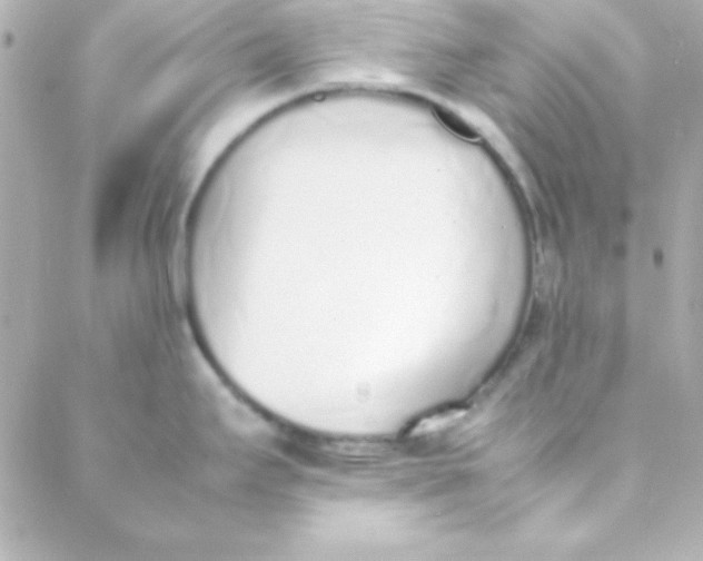 X0000088151295200705291413