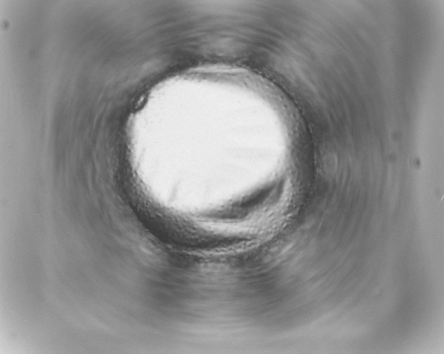 X0000088151297200705291412