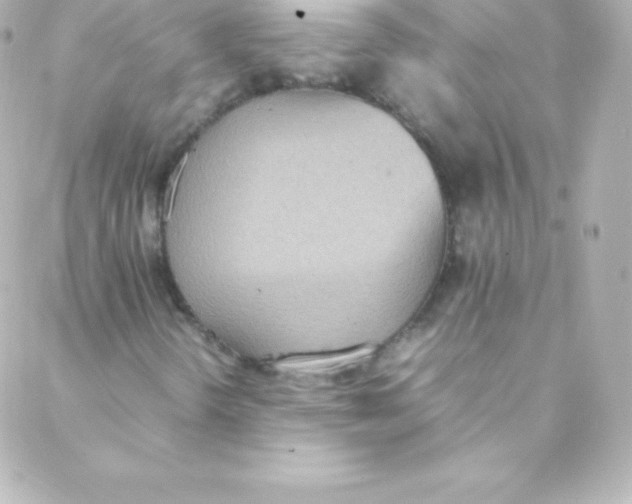 X0000088151298200705291412