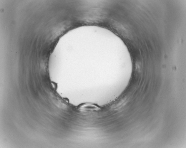 X0000088151300200705291412