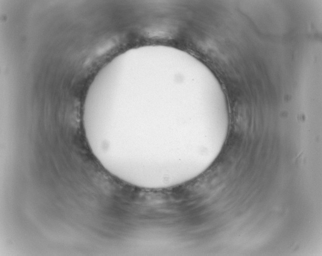 X0000088151301200705291412