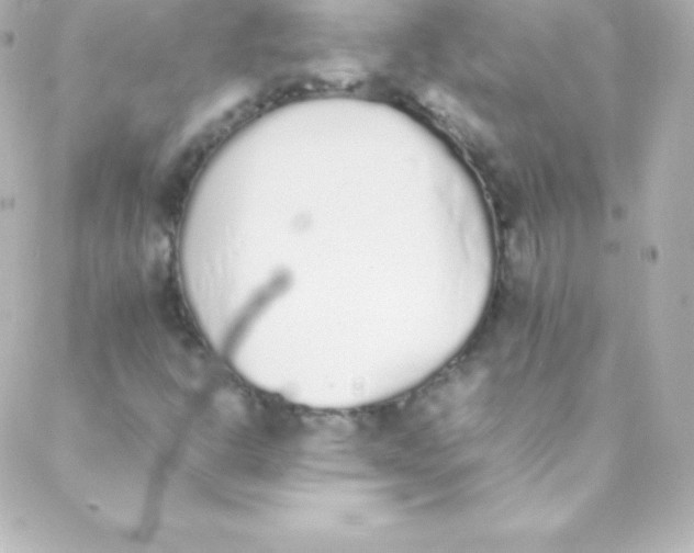 X0000088151302200705291412