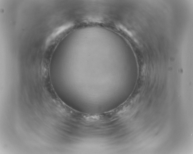 X0000088151303200705291412