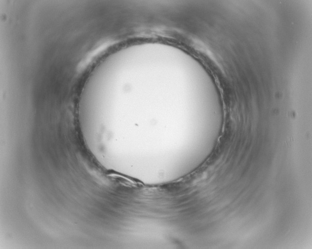 X0000088151304200705291412