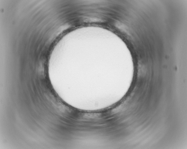 X0000088151305200705291413