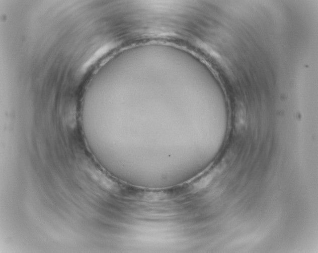 X0000088151306200705291413