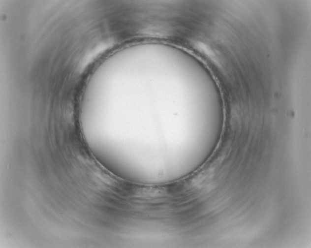 X0000088151307200705291413