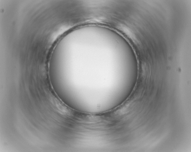 X0000088151308200705291413