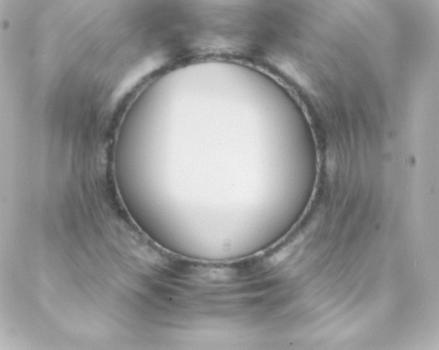 X0000088151309200705291413