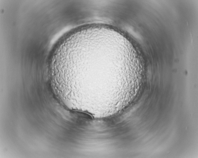 X0000088151310200705291413