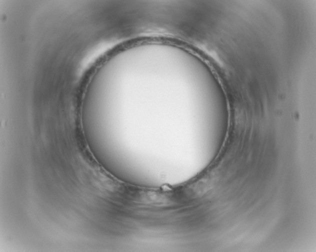 X0000088151311200705291413