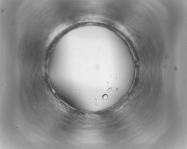 X0000088151312200705291413