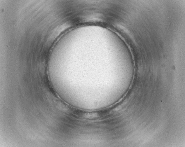 X0000088151313200705291413